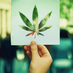 cannabis legaliseras i europ